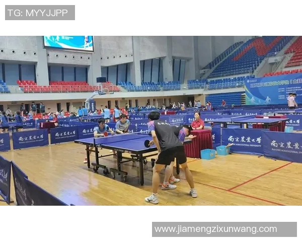 聚焦乒乓球：南京乒乓球队的节奏话题
