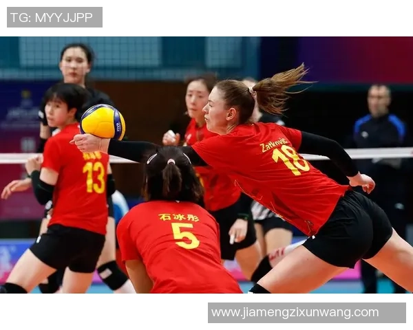 排球焦点：北京排球队的力量探讨