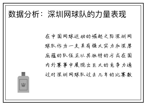 数据分析：深圳网球队的力量表现