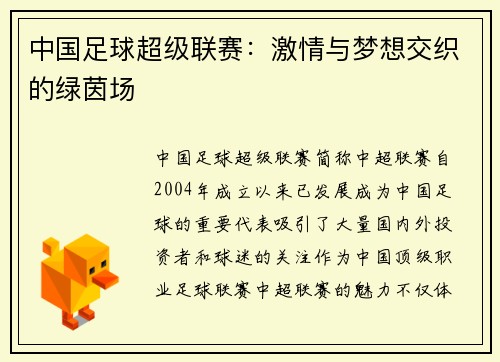 中国足球超级联赛：激情与梦想交织的绿茵场